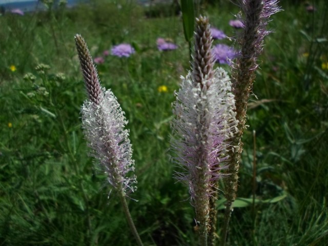 Időgazdálkodás műhely az Útilapu Programban